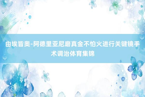 由埃皆奥-阿德里亚尼磨真金不怕火进行关键镜手术调治体育集锦