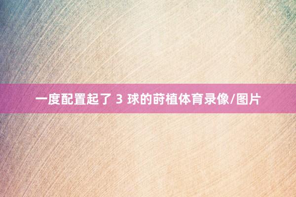 一度配置起了 3 球的莳植体育录像/图片