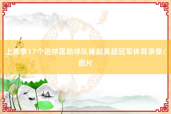 上赛季17个进球匡助球队捧起英超冠军体育录像/图片