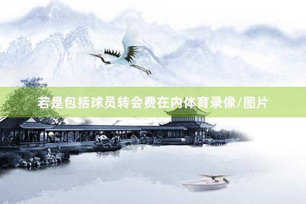 若是包括球员转会费在内体育录像/图片