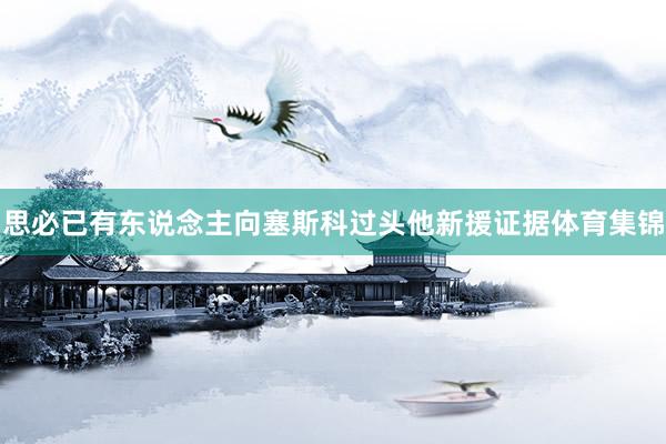 思必已有东说念主向塞斯科过头他新援证据体育集锦