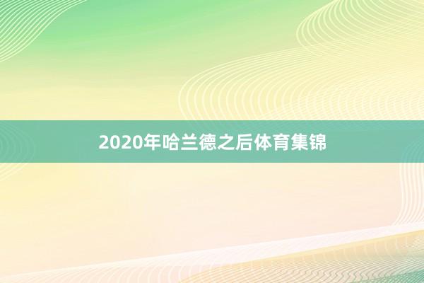 2020年哈兰德之后体育集锦