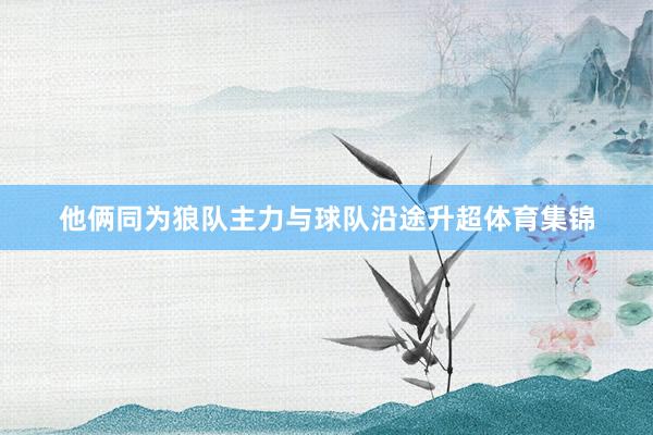 他俩同为狼队主力与球队沿途升超体育集锦