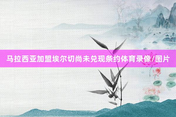 马拉西亚加盟埃尔切尚未兑现条约体育录像/图片