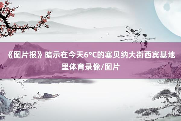 《图片报》暗示在今天6°C的塞贝纳大街西宾基地里体育录像/图片