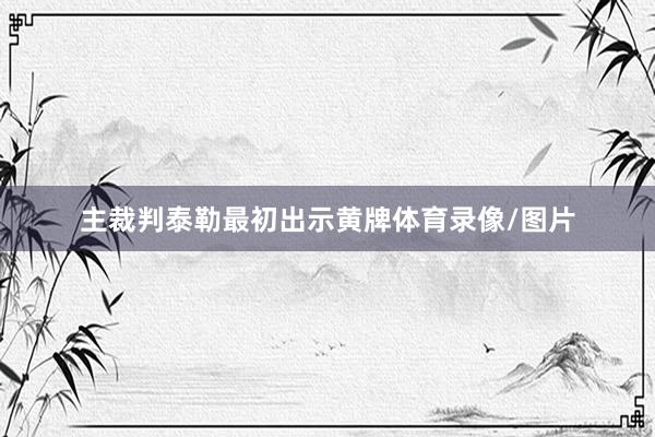 主裁判泰勒最初出示黄牌体育录像/图片