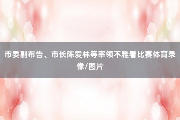 市委副布告、市长陈爱林等率领不雅看比赛体育录像/图片