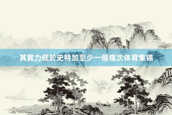 其實力低於史特加至少一個檔次体育集锦