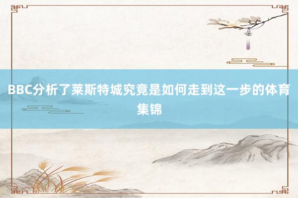 BBC分析了莱斯特城究竟是如何走到这一步的体育集锦