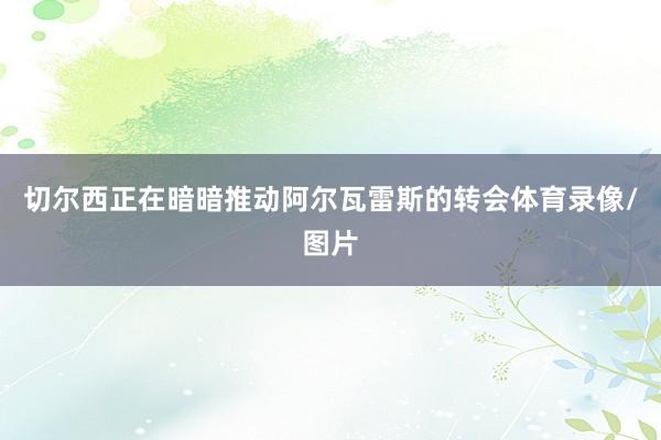 切尔西正在暗暗推动阿尔瓦雷斯的转会体育录像/图片