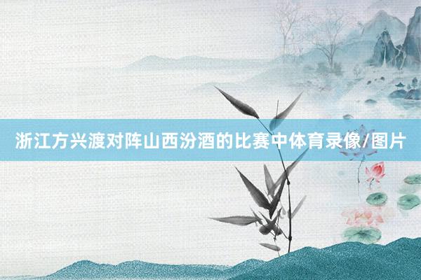 浙江方兴渡对阵山西汾酒的比赛中体育录像/图片