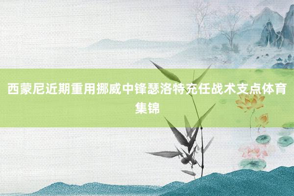 西蒙尼近期重用挪威中锋瑟洛特充任战术支点体育集锦