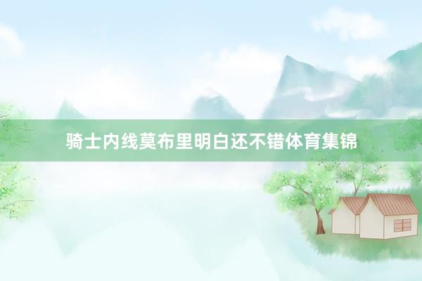 骑士内线莫布里明白还不错体育集锦