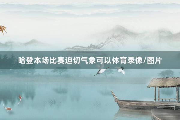 哈登本场比赛迫切气象可以体育录像/图片