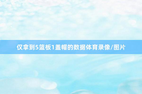 仅拿到5篮板1盖帽的数据体育录像/图片