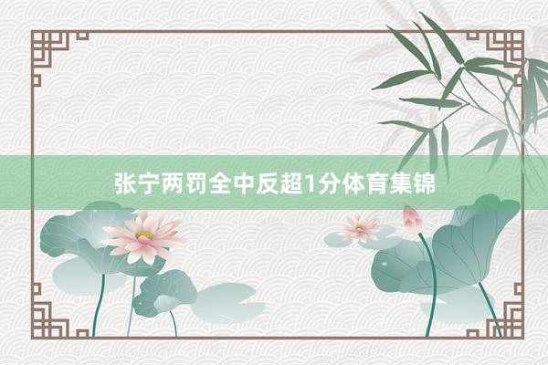 张宁两罚全中反超1分体育集锦