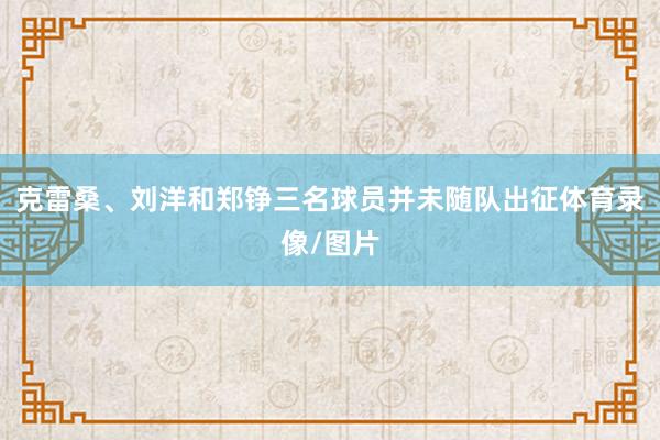 克雷桑、刘洋和郑铮三名球员并未随队出征体育录像/图片