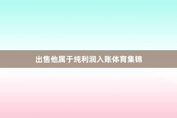 出售他属于纯利润入账体育集锦