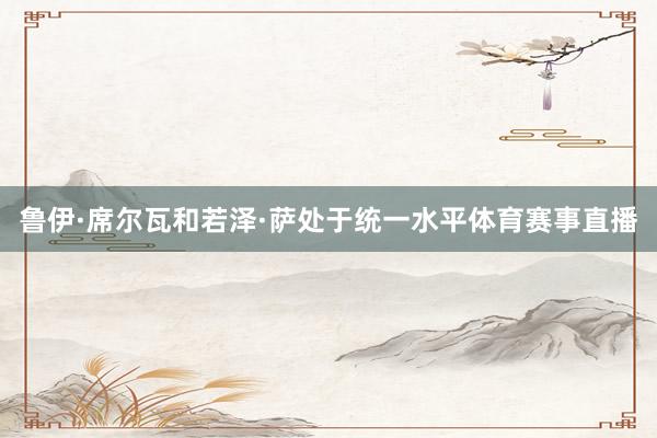 鲁伊·席尔瓦和若泽·萨处于统一水平体育赛事直播