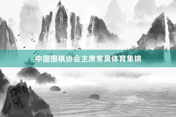 中国围棋协会主席常昊体育集锦