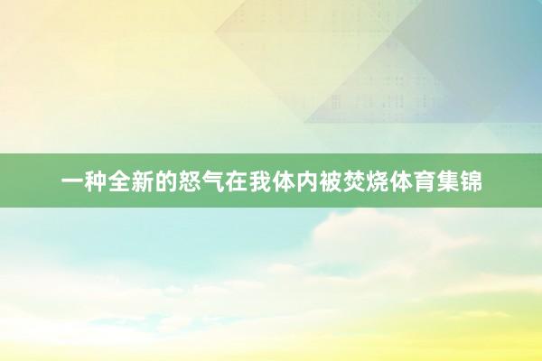 一种全新的怒气在我体内被焚烧体育集锦