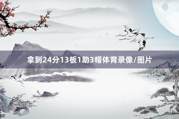 拿到24分13板1助3帽体育录像/图片